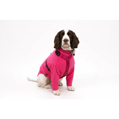 Padded Strap Waterproof Step-In Dog Harness - Made to Measure, All Breeds - Hugo and Ted