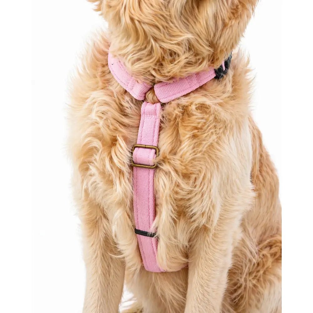Padded Strap Waterproof Step-In Dog Harness - Made to Measure, All Breeds - Hugo and Ted
