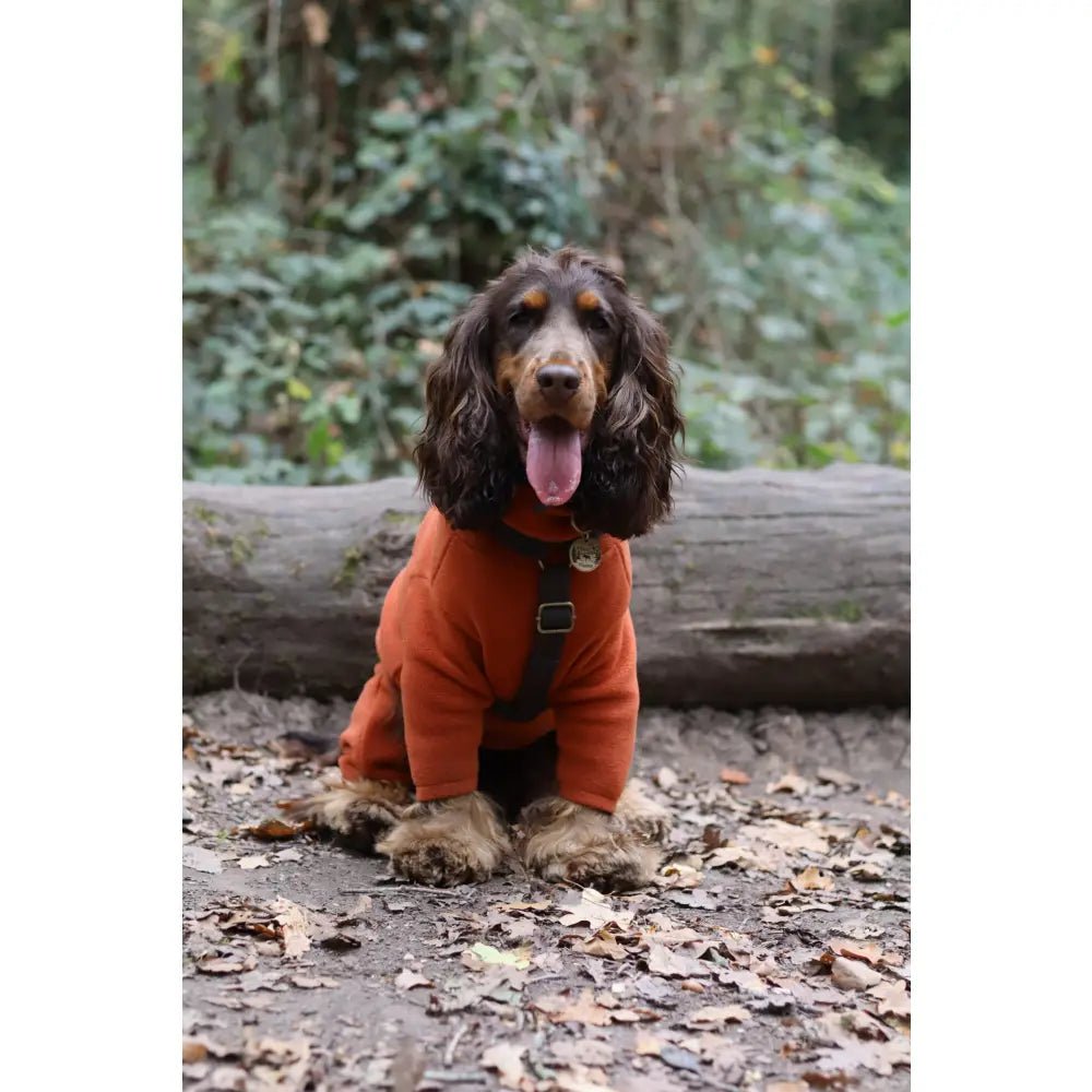 Padded Strap Waterproof Step-In Dog Harness - Made to Measure, All Breeds - Hugo and Ted