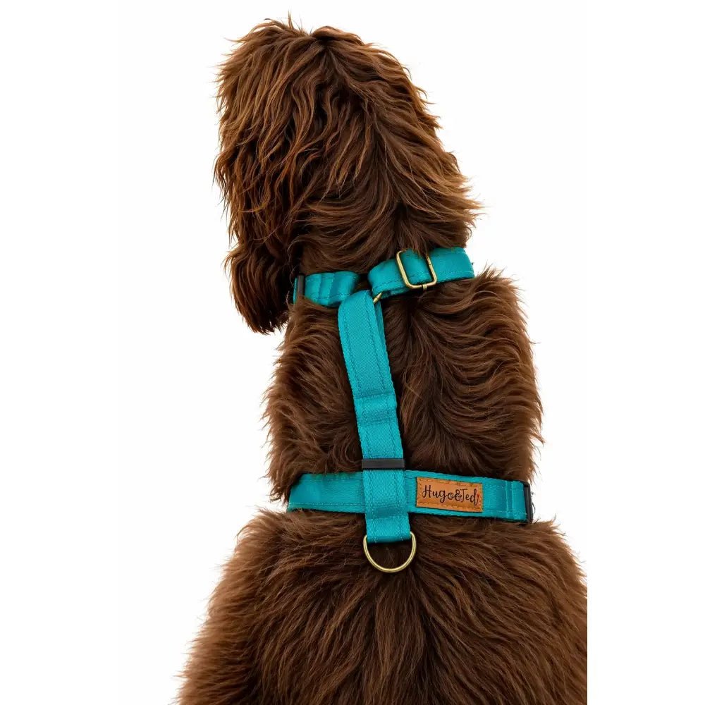 Padded Strap Waterproof Step-In Dog Harness - Made to Measure, All Breeds - Hugo and Ted