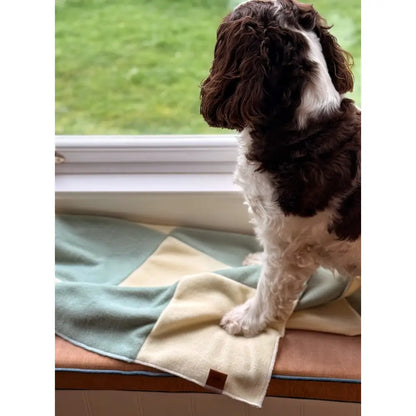 Pastel Collection Eco Fleece Lap Blankets - Hugo and Ted