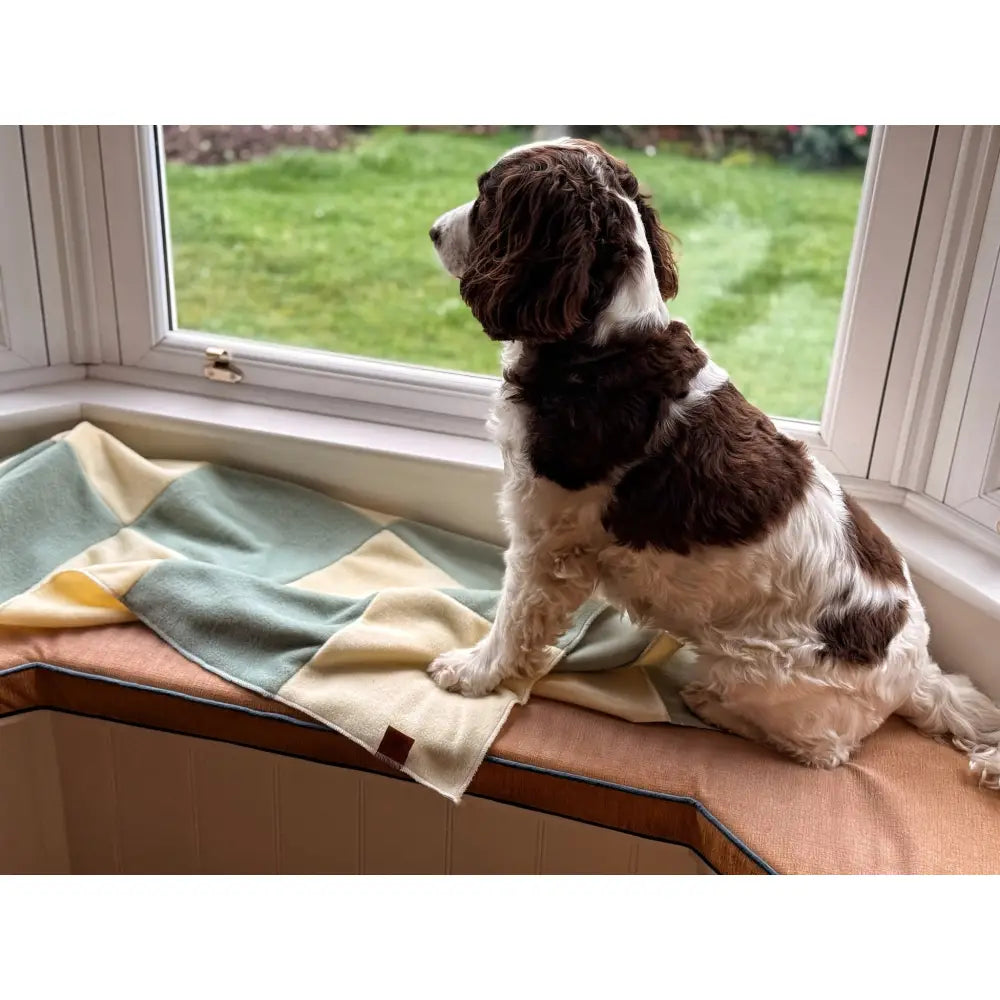 Pastel Collection Eco Fleece Lap Blankets - Hugo and Ted