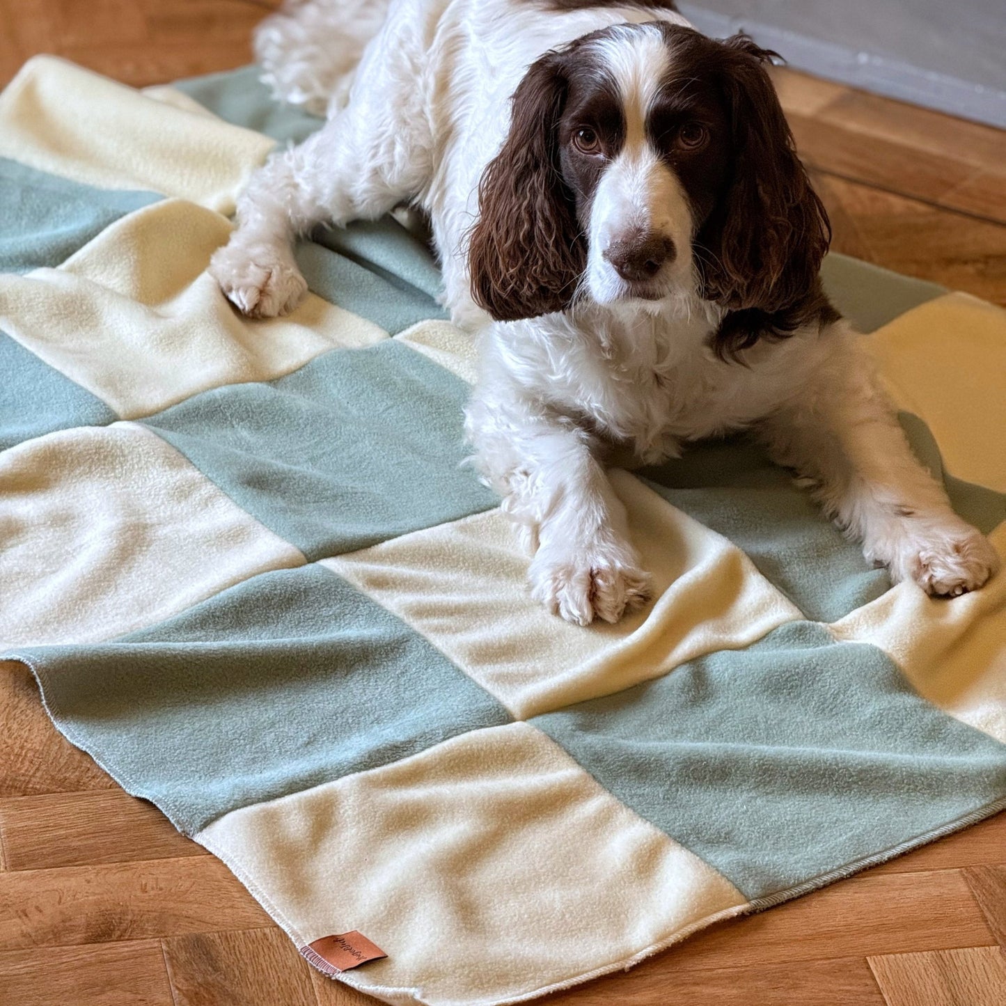 Pastel Collection Eco Fleece Lap Blankets - Hugo and Ted