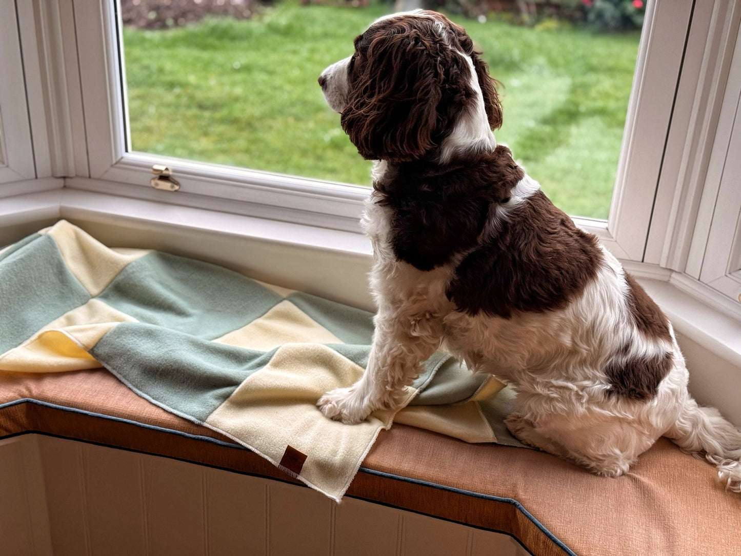 Pastel Collection Eco Fleece Lap Blankets - Hugo and Ted