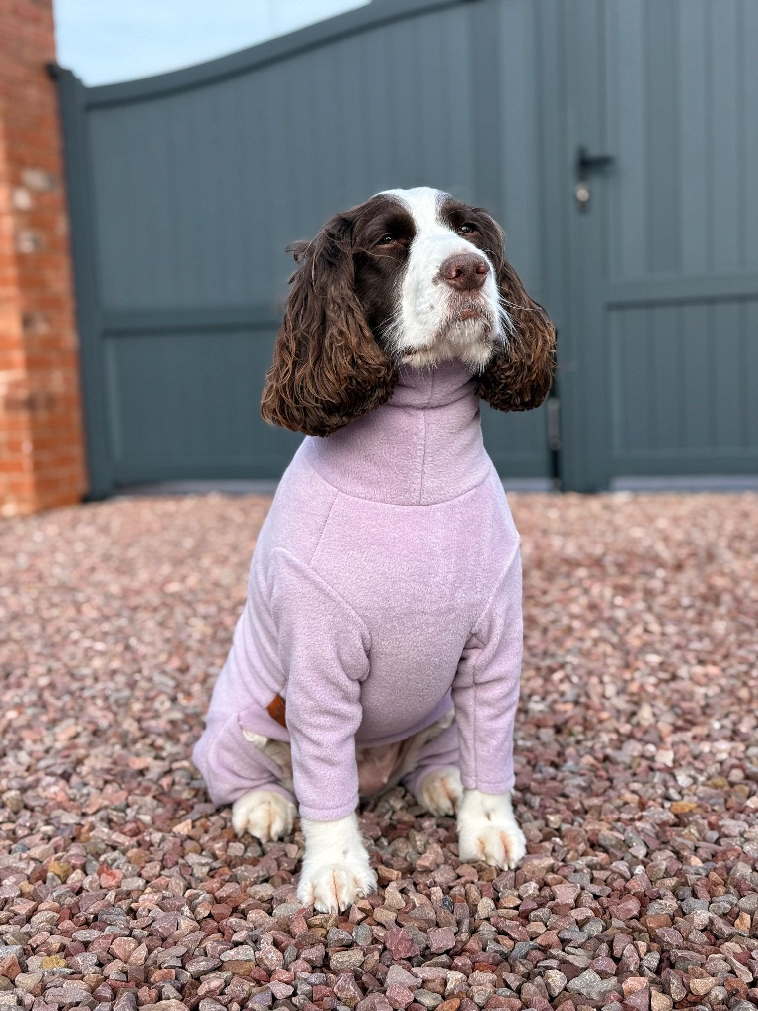Pastel Collection Fleece Dog Jumpsuit - Made to Measure - Hugo and Ted