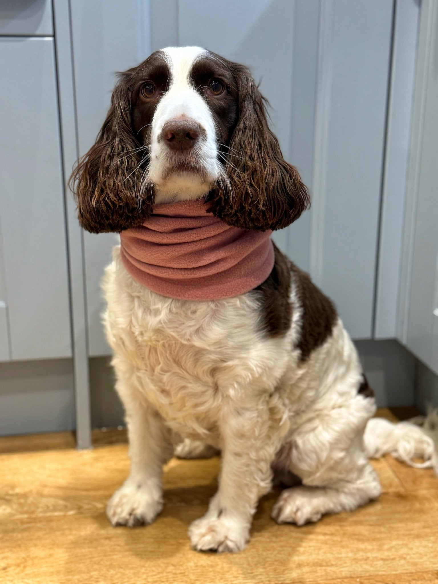 Pastel Collection Fleece Dog Snood - Hugo and Ted