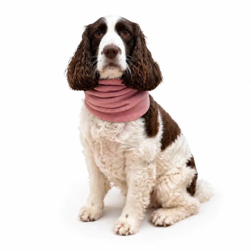 Pastel Collection Fleece Dog Snood
