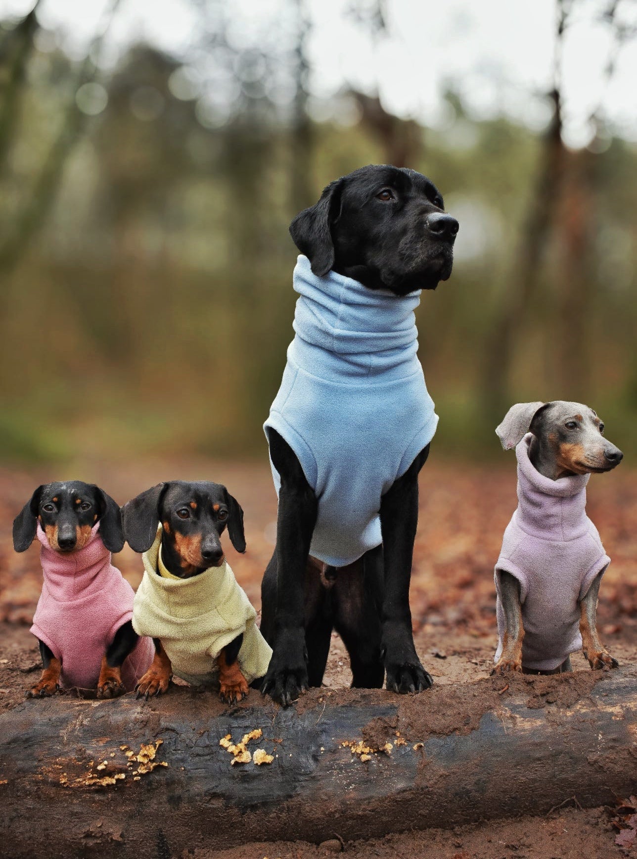 Pastel Collection Fleece Dog Snuggle Jumper - Made to Measure - Hugo and Ted