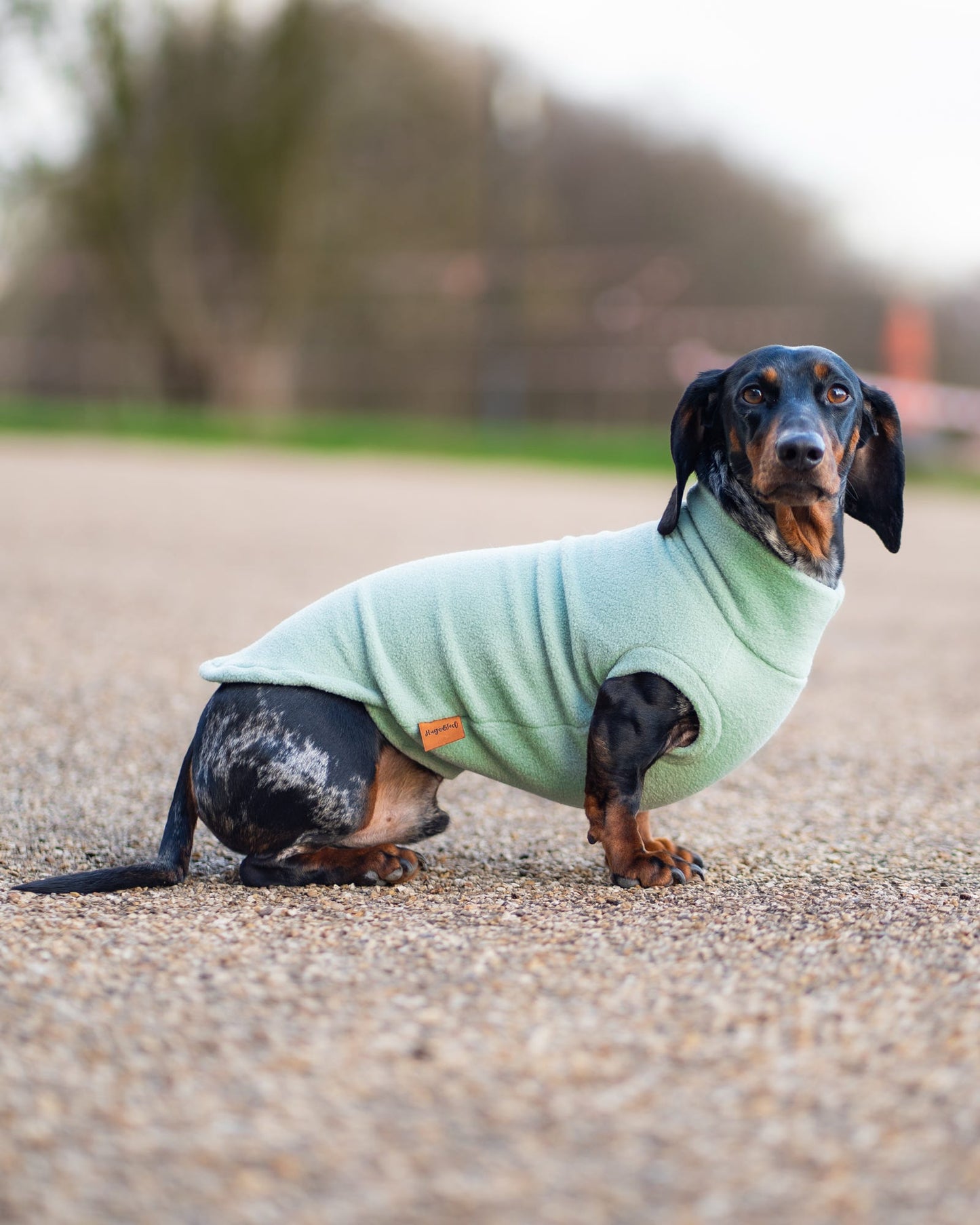Pastel Collection Fleece Dog Snuggle Jumper - Made to Measure - Hugo and Ted