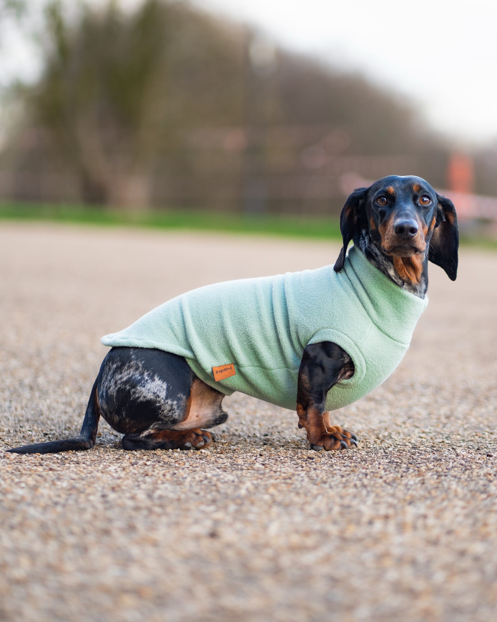Pastel Collection Fleece Dog Snuggle Jumper - Made to Measure - Hugo and Ted
