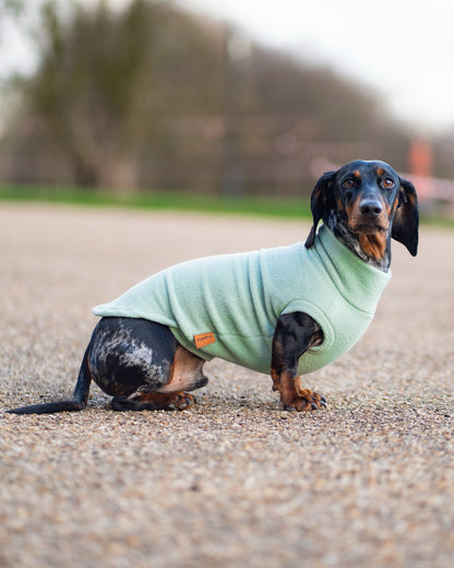 Pastel Collection Fleece Dog Snuggle Jumper - Made to Measure - Hugo and Ted
