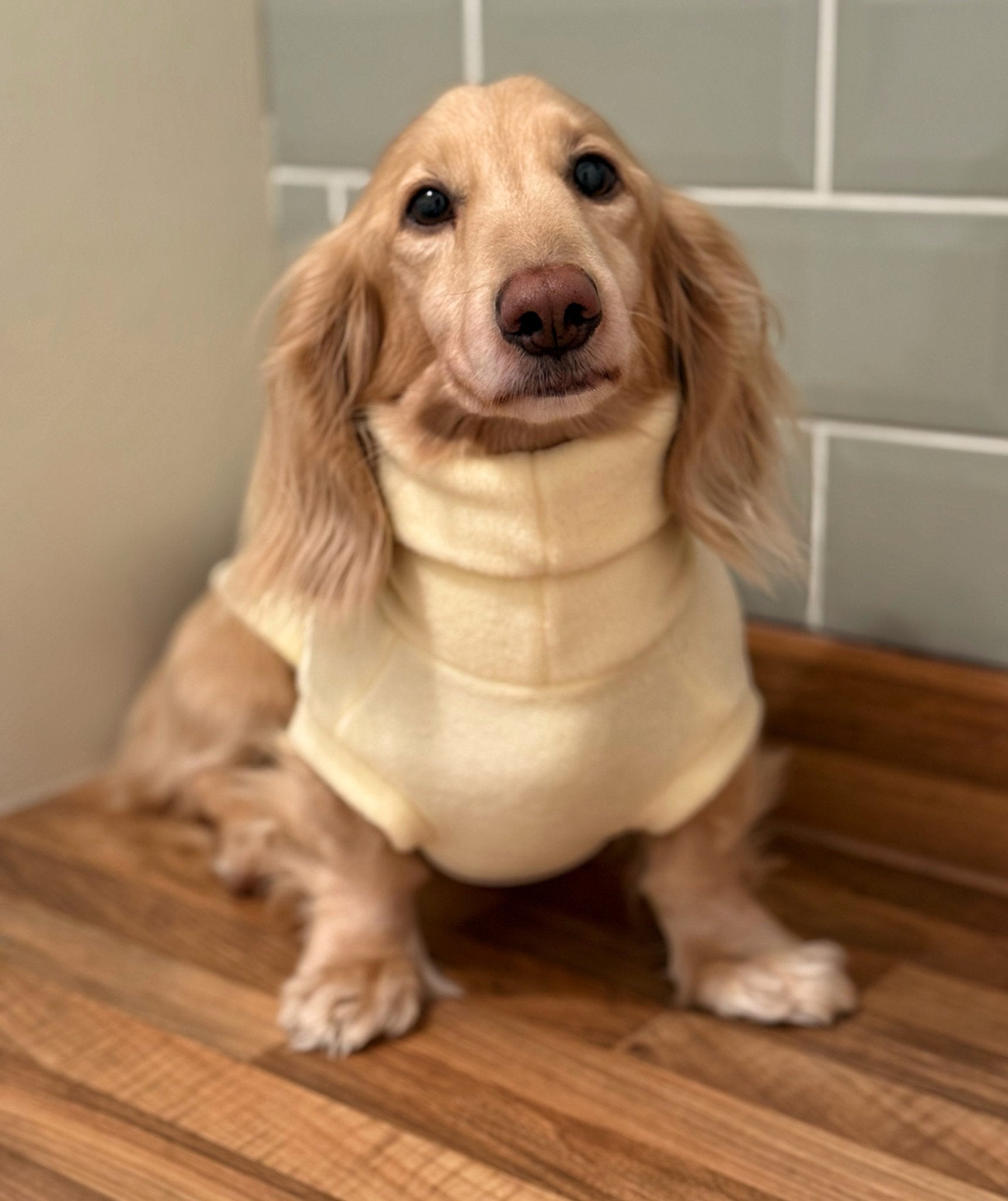 Pastel Collection Fleece Dog Snuggle Jumper - Made to Measure - Hugo and Ted