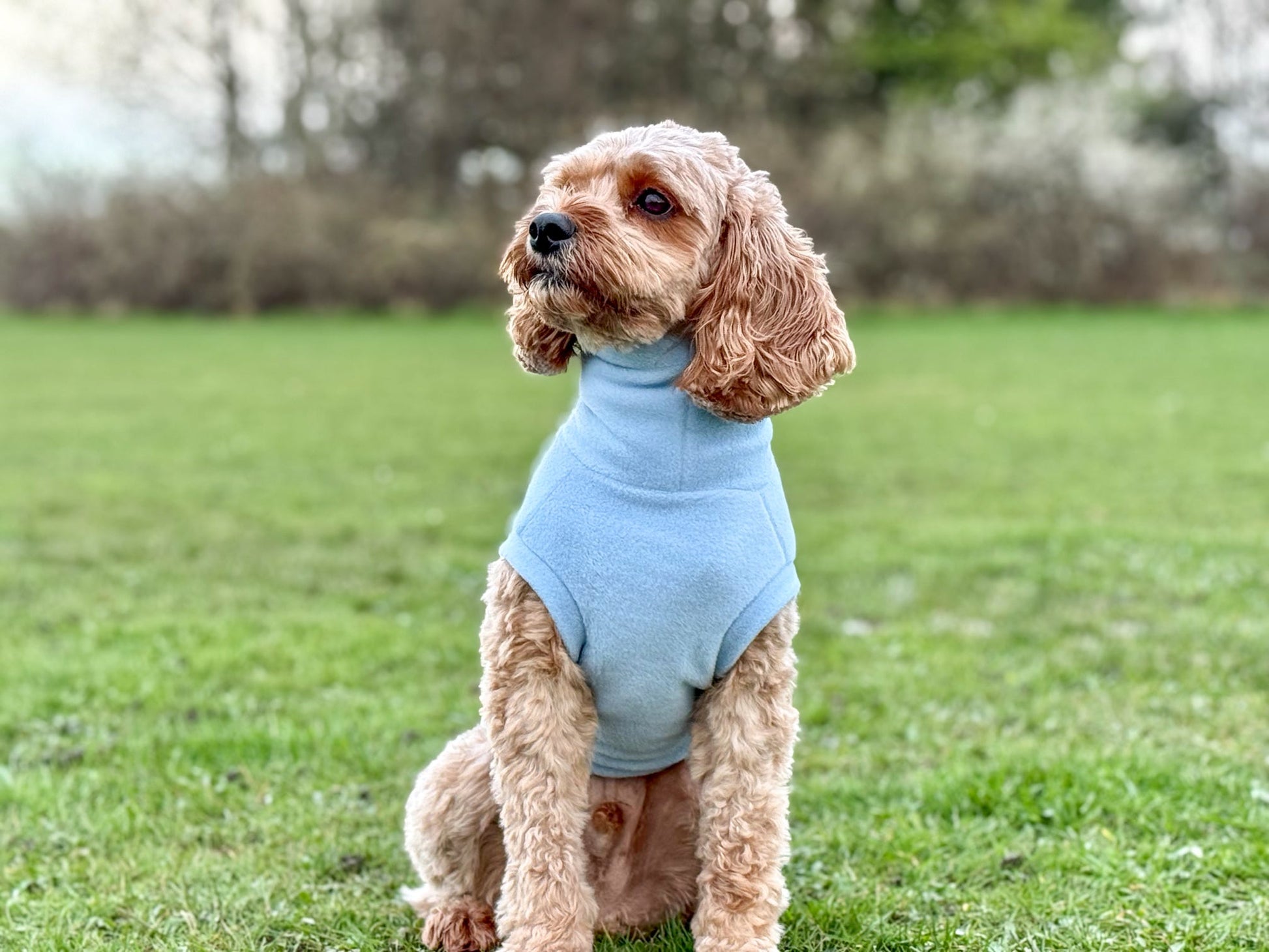Pastel Collection Fleece Dog Snuggle Jumper - Made to Measure - Hugo and Ted