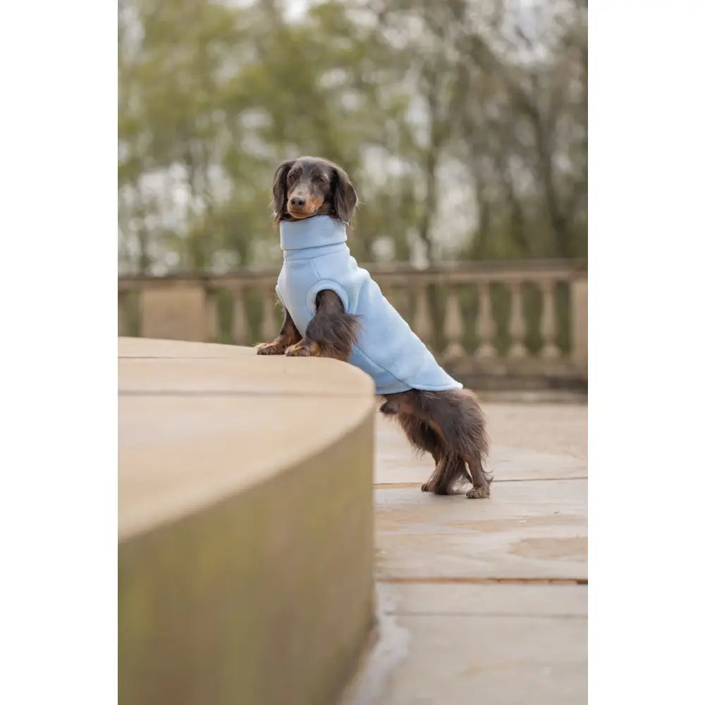 Pastel Collection Fleece Dog Snuggle Jumper - Made to Measure