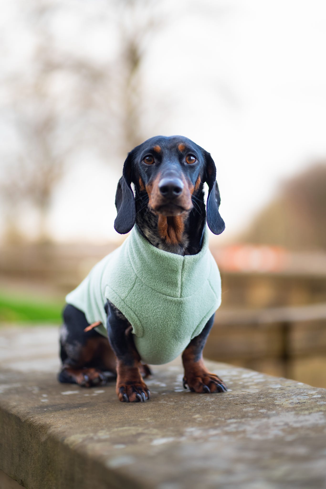 Pastel Collection Fleece Dog Snuggle Jumper - Made to Measure - Hugo and Ted