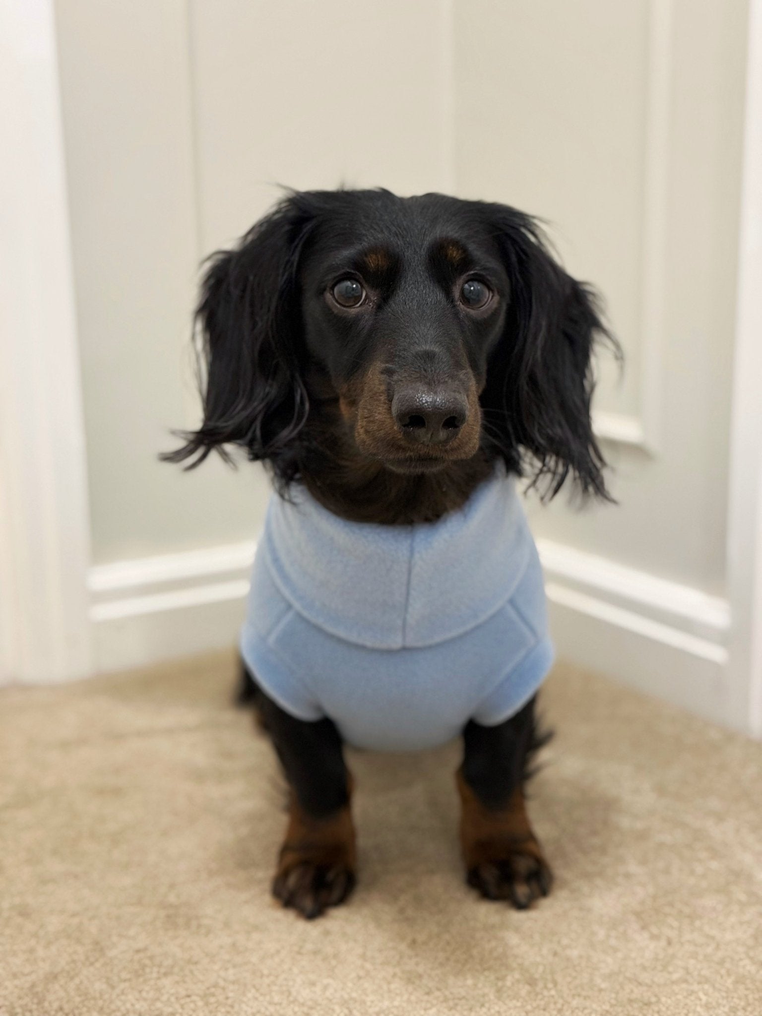Pastel Collection Fleece Dog Snuggle Jumper - Made to Measure - Hugo and Ted