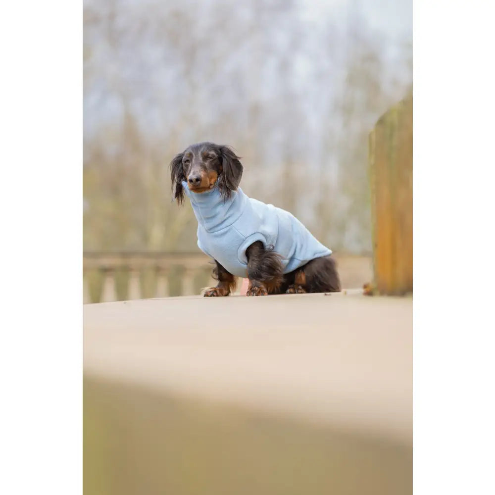 Pastel Collection Fleece Dog Snuggle Jumper - Made to Measure