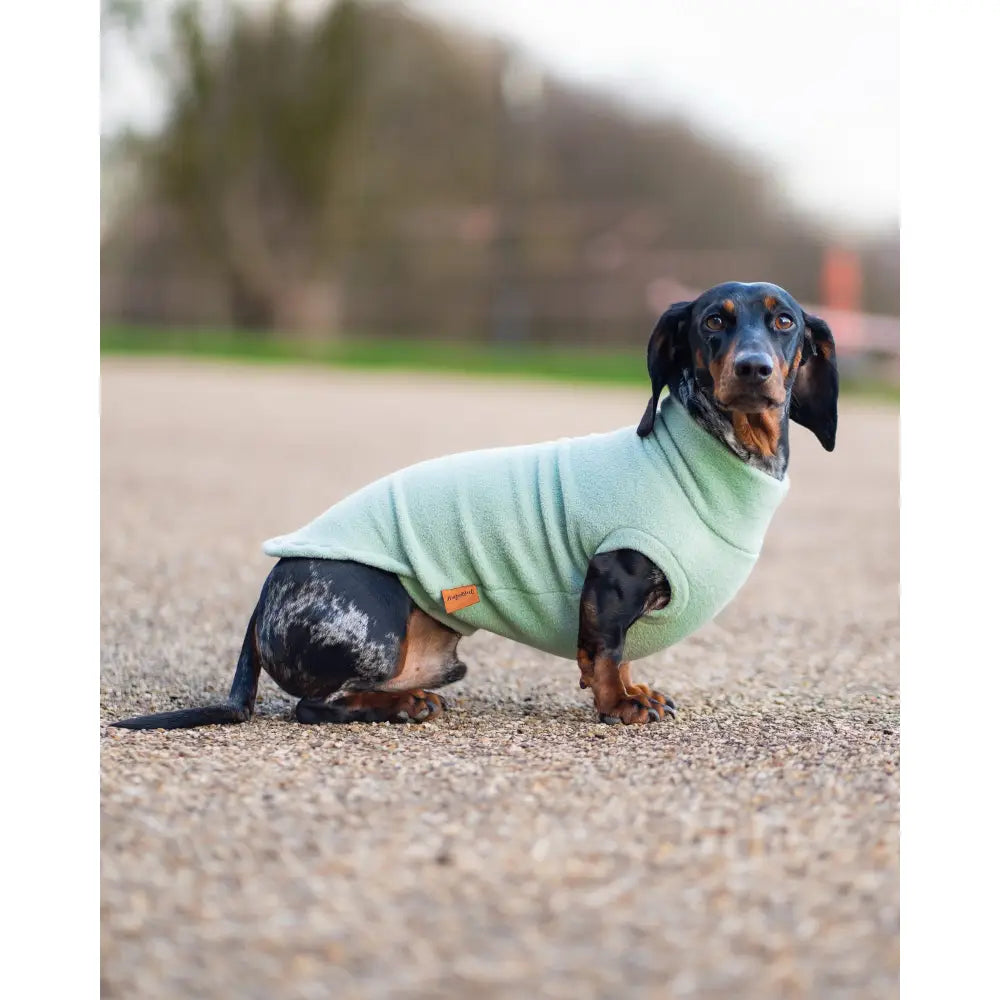 Pastel Collection Fleece Dog Snuggle Jumper - Made to Measure - Hugo and Ted