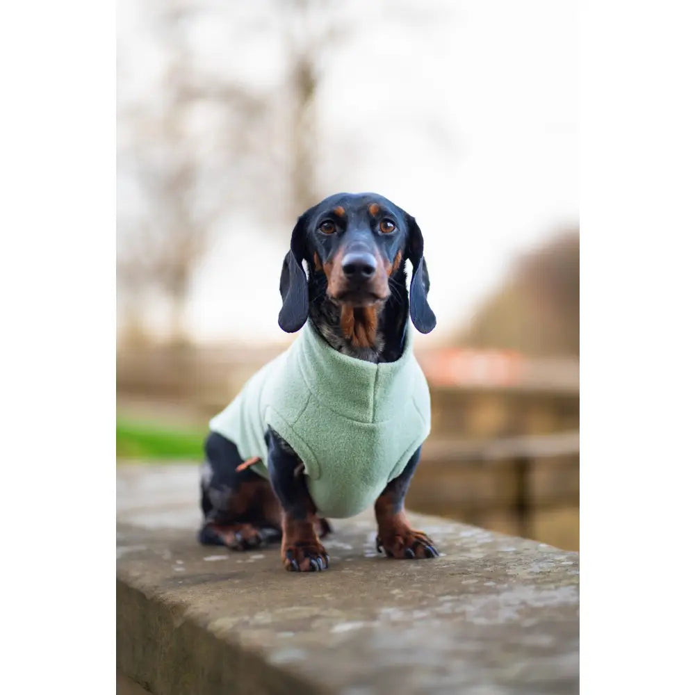Pastel Collection Fleece Dog Snuggle Jumper - Made to Measure - Hugo and Ted