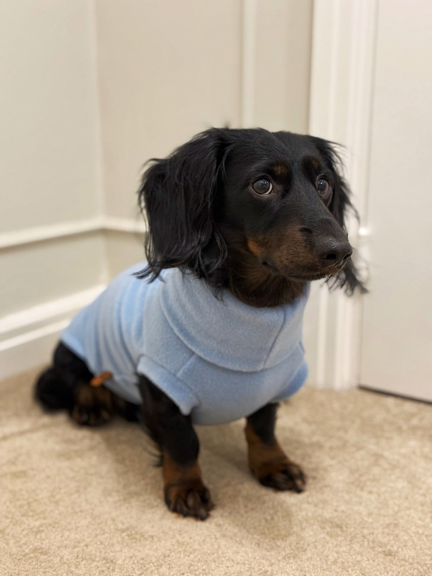Pastel Collection Fleece Dog Snuggle Jumper - Made to Measure - Hugo and Ted