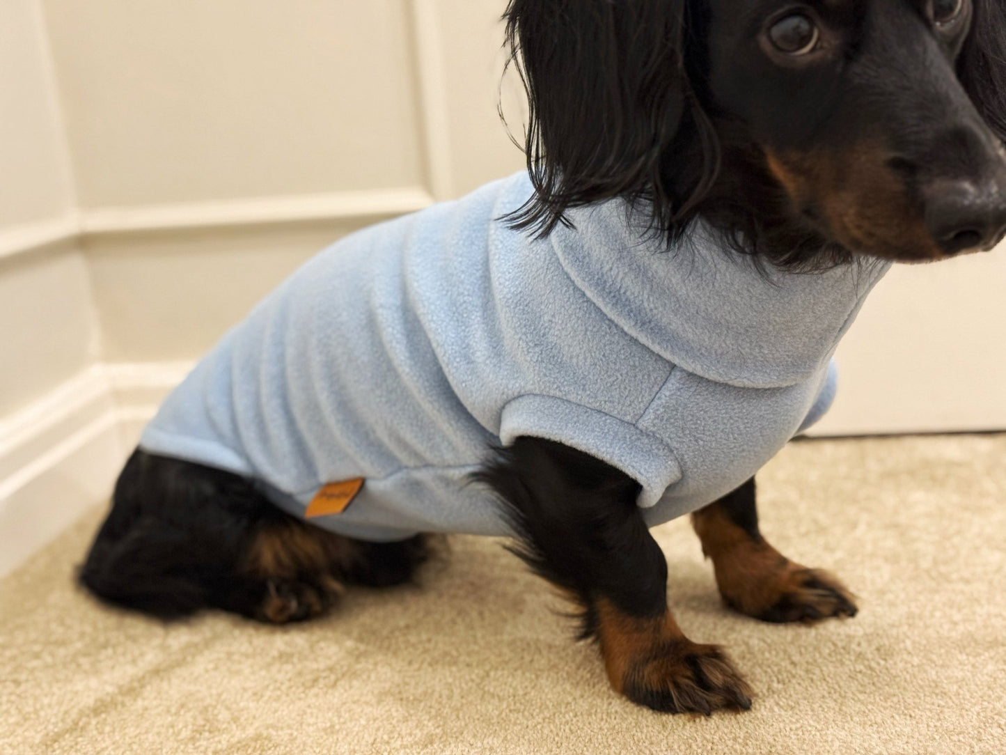Pastel Collection Fleece Dog Snuggle Jumper - Made to Measure - Hugo and Ted