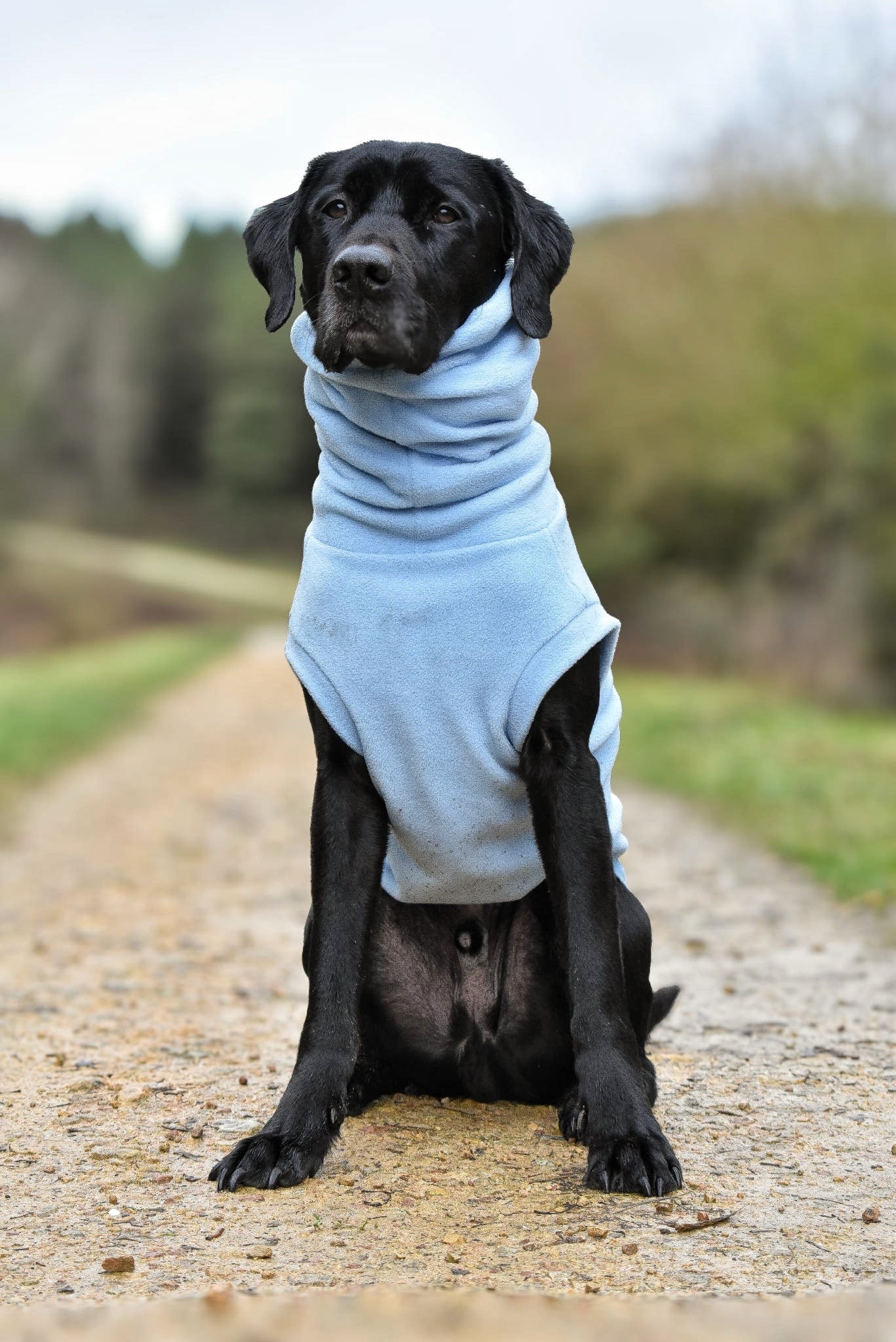 Pastel Collection Fleece Dog Snuggle Jumper - Made to Measure - Hugo and Ted