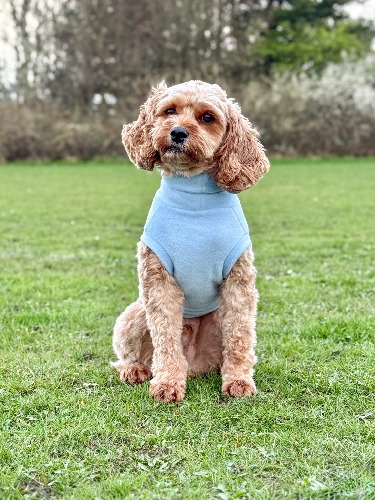 Pastel Collection Fleece Dog Snuggle Jumper - Made to Measure - Hugo and Ted