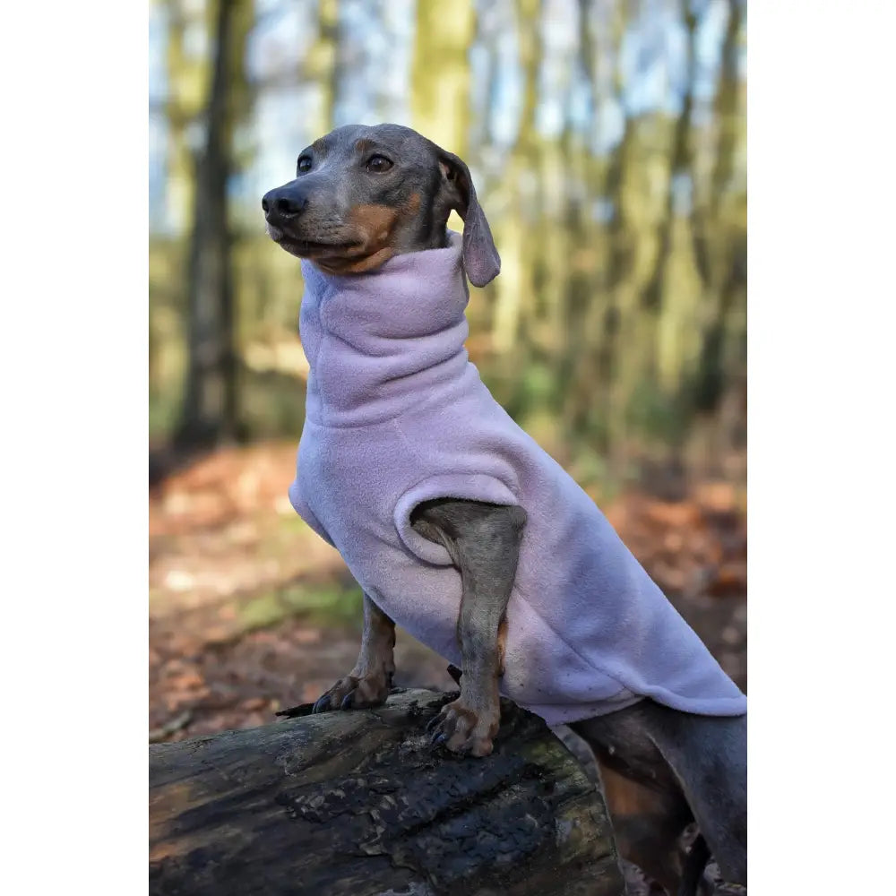 Pastel Collection Fleece Dog Snuggle Jumper - Made to Measure - Hugo and Ted