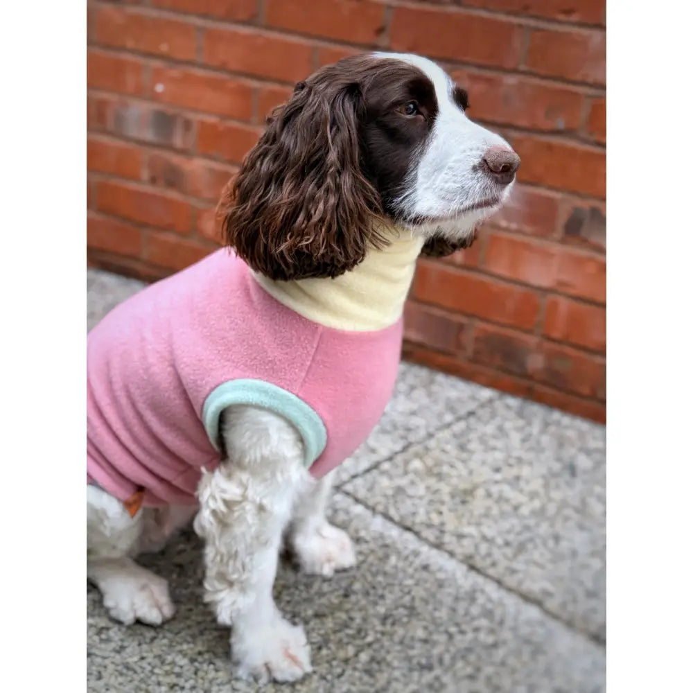 Pastel Collection Harlequin Fleece Dog Snuggle Jumper - Made to Measure - Hugo and Ted