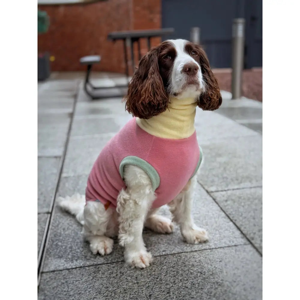 Pastel Collection Harlequin Fleece Dog Snuggle Jumper - Made to Measure - Hugo and Ted
