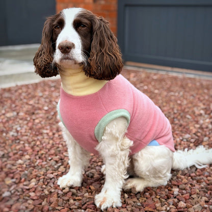 Pastel Collection Harlequin Fleece Dog Snuggle Jumper - Made to Measure - Hugo and Ted