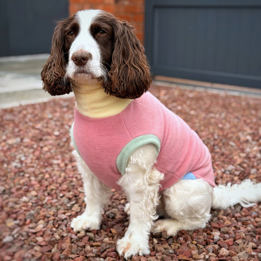 Pastel Collection Harlequin Fleece Dog Snuggle Jumper - Made to Measure - Hugo and Ted