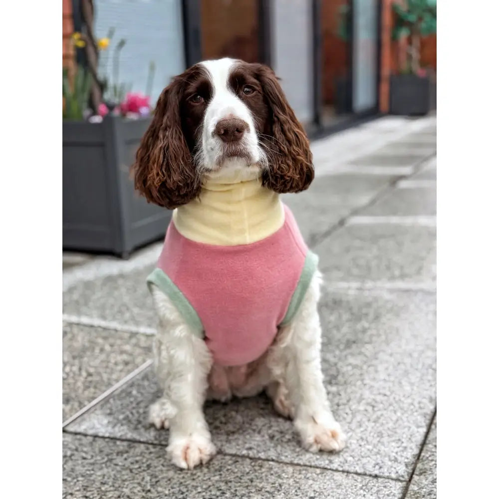 Pastel Collection Harlequin Fleece Dog Snuggle Jumper - Made to Measure - Hugo and Ted