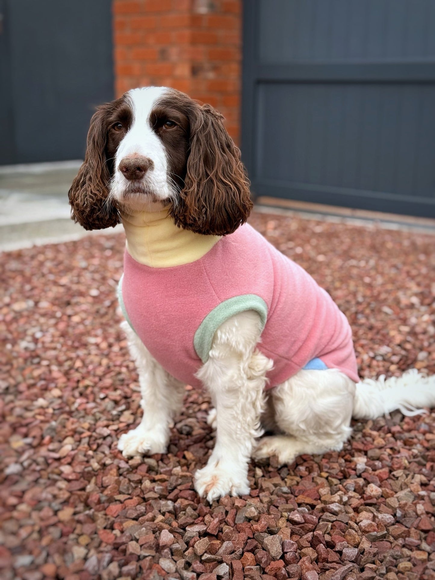 Pastel Collection Harlequin Fleece Dog Snuggle Jumper - Made to Measure - Hugo and Ted