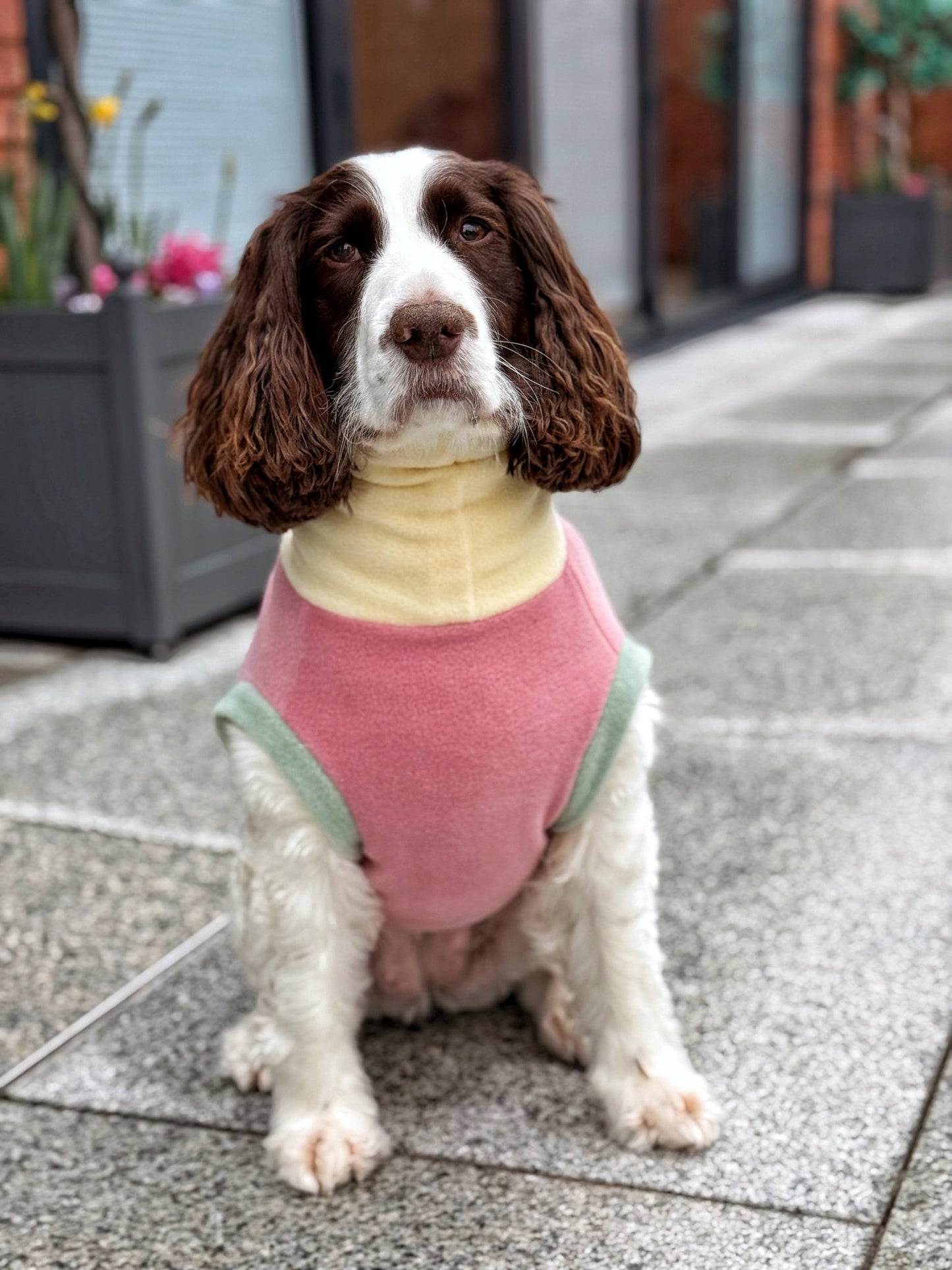 Pastel Collection Harlequin Fleece Dog Snuggle Jumper - Made to Measure - Hugo and Ted