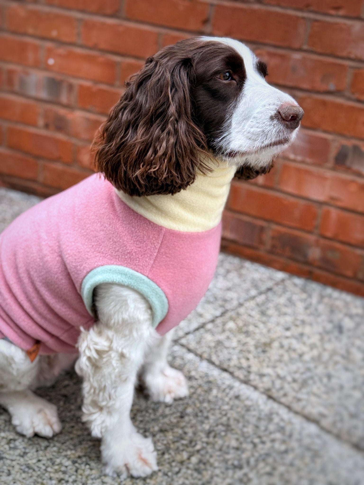Pastel Collection Harlequin Fleece Dog Snuggle Jumper - Made to Measure - Hugo and Ted