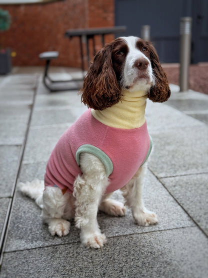 Pastel Collection Harlequin Fleece Dog Snuggle Jumper - Made to Measure - Hugo and Ted