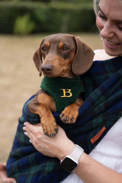 Patterned Fleece Comfortable Dog Sling Carrier – Ideal for Small, Elderly, or Disabled Dogs - Hugo and Ted