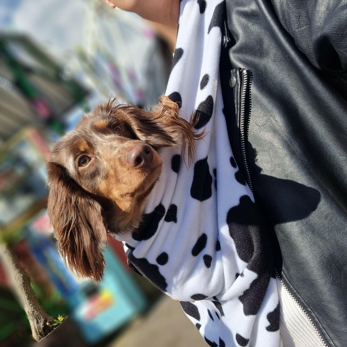 Patterned Fleece Dog Slings The Best Way To Carry Your Pet Hugo and Ted