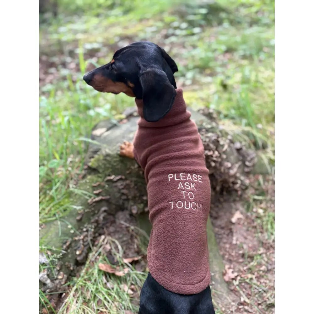 Pawblicity Jumpers - Standard Sized Fleece Snuggle Jumper - Hugo and Ted