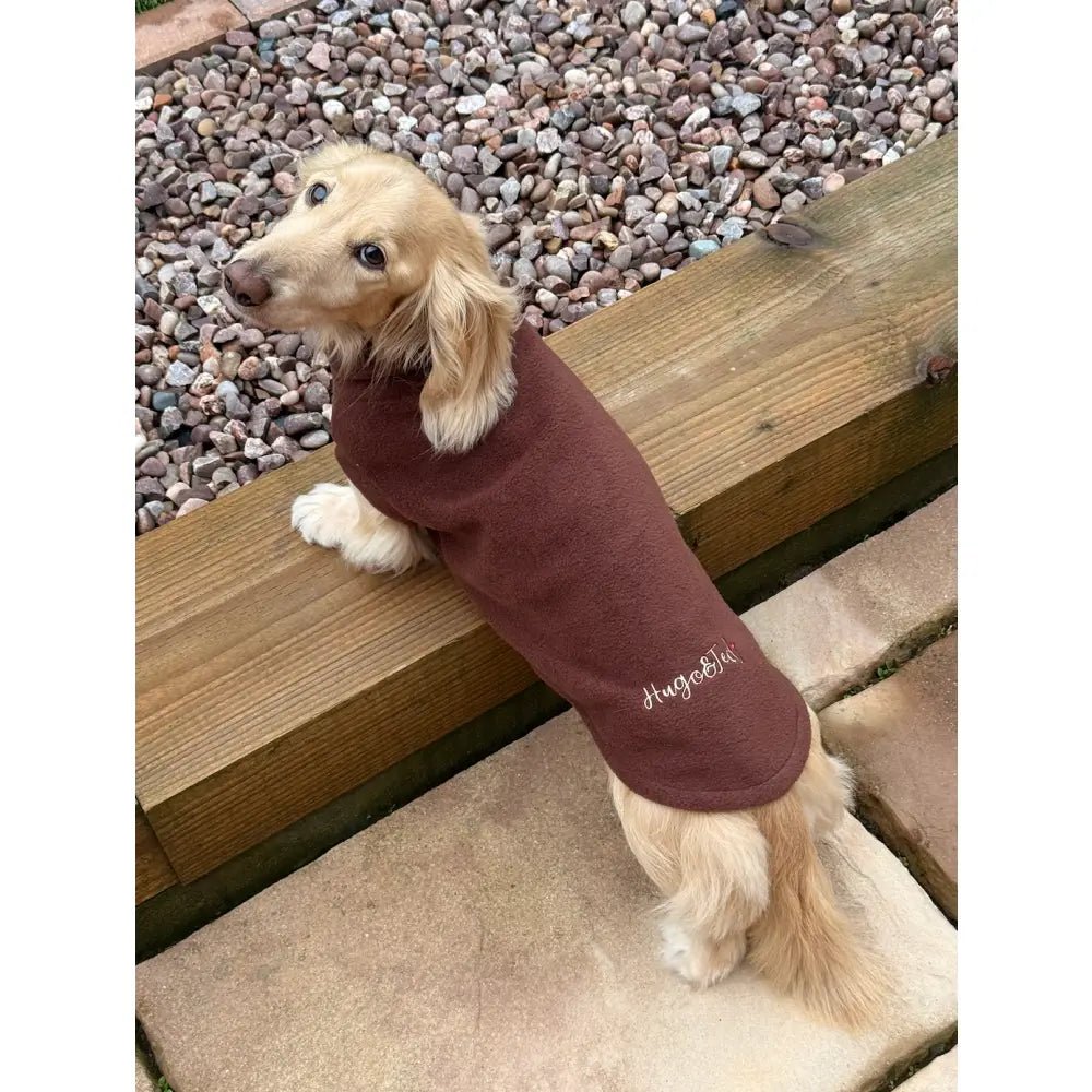 Pawblicity Jumpers - Standard Sized Fleece Snuggle Jumper - Hugo and Ted