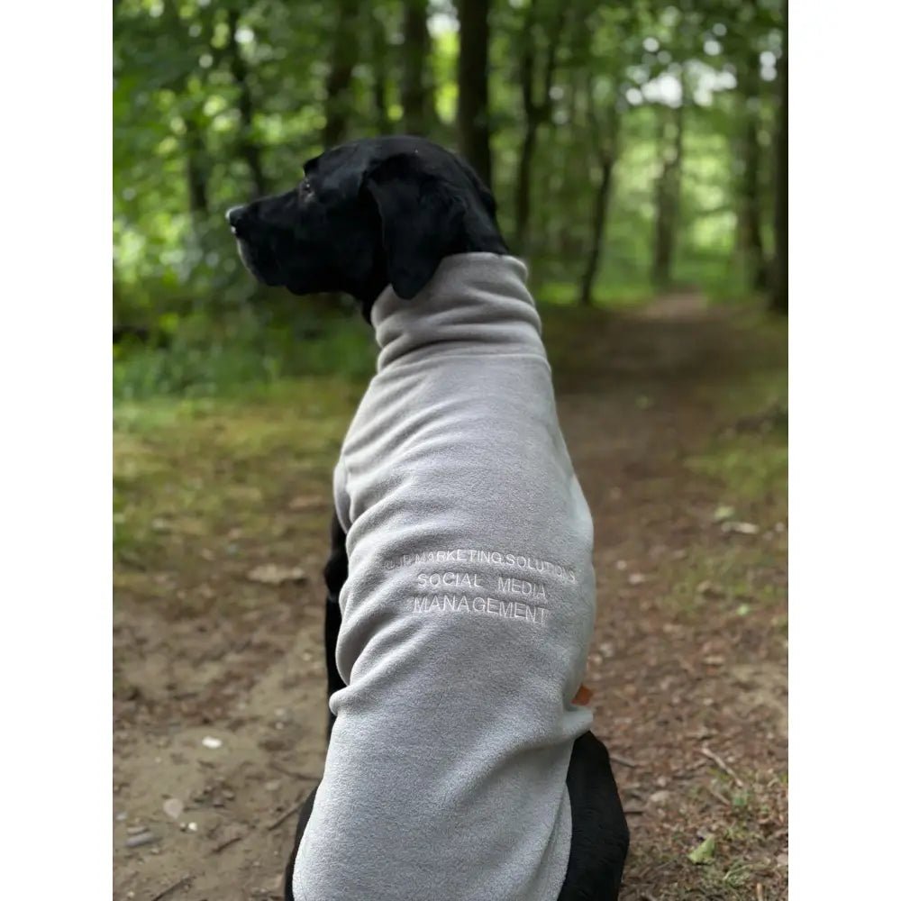 Pawblicity Jumpers - Standard Sized Fleece Snuggle Jumper - Hugo and Ted
