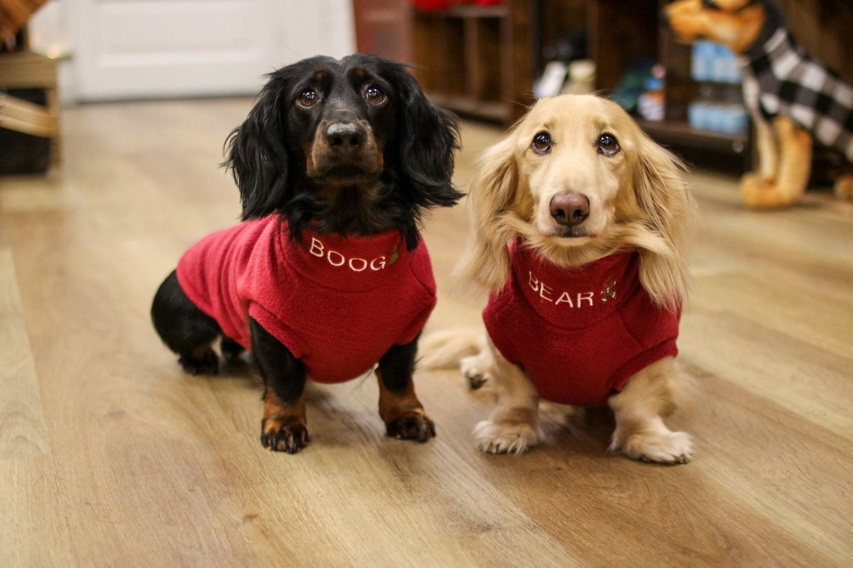 Two dachshunds in red personalised Christmas fleece jumpers on a wooden floor