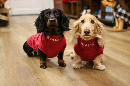 Two dachshunds in red personalised Christmas fleece jumpers on a wooden floor