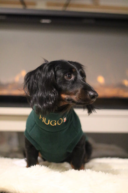 Black dachshund in a green personalised Christmas fleece jumper