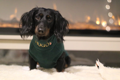 Black dachshund lying down in a green personalised Christmas fleece jumper