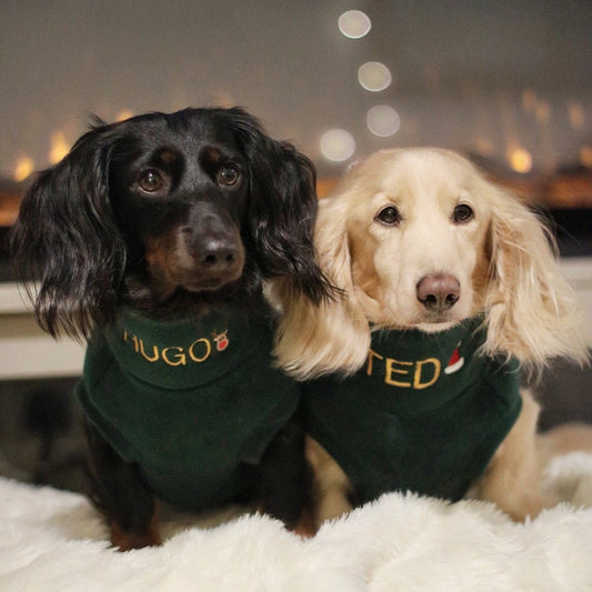 Two dachshunds in green personalised Christmas fleece jumpers