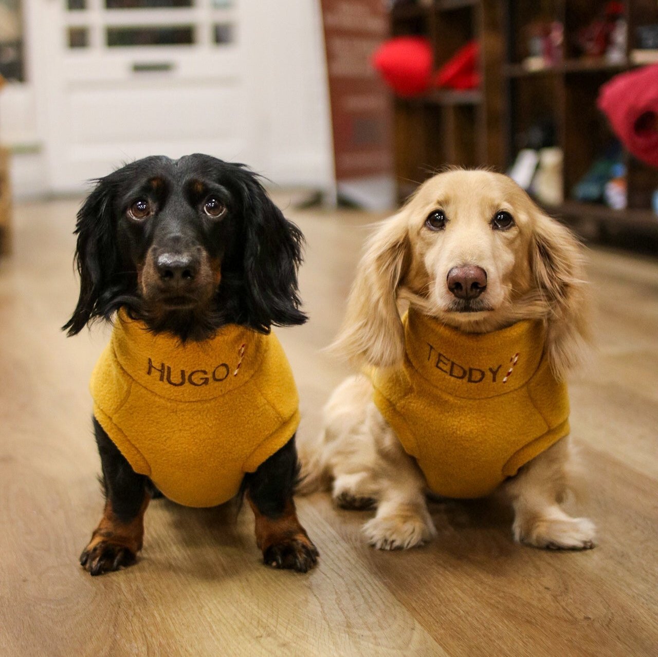Personalised Christmas Fleece Snuggle Jumpers - Hugo and Ted