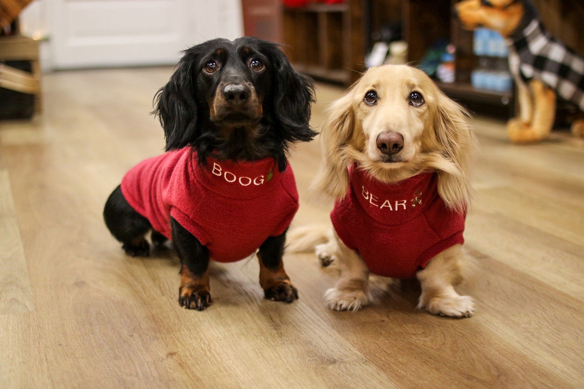 Personalised Christmas Fleece Snuggle Jumpers - Hugo and Ted