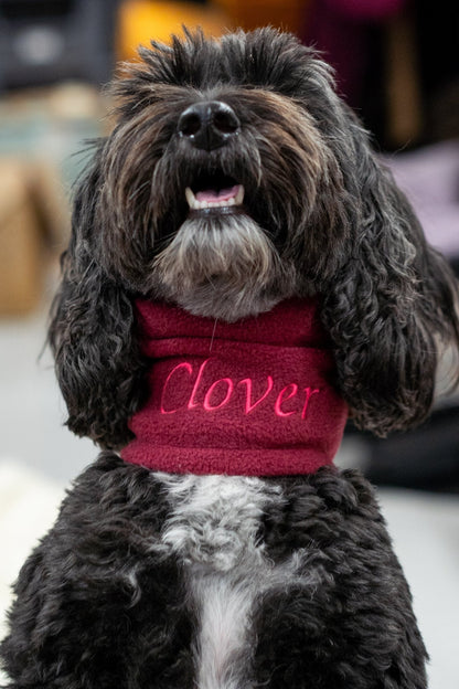 Personalised Fleece Dog Snood - 4 Sizes, Made to Order - Hugo and Ted